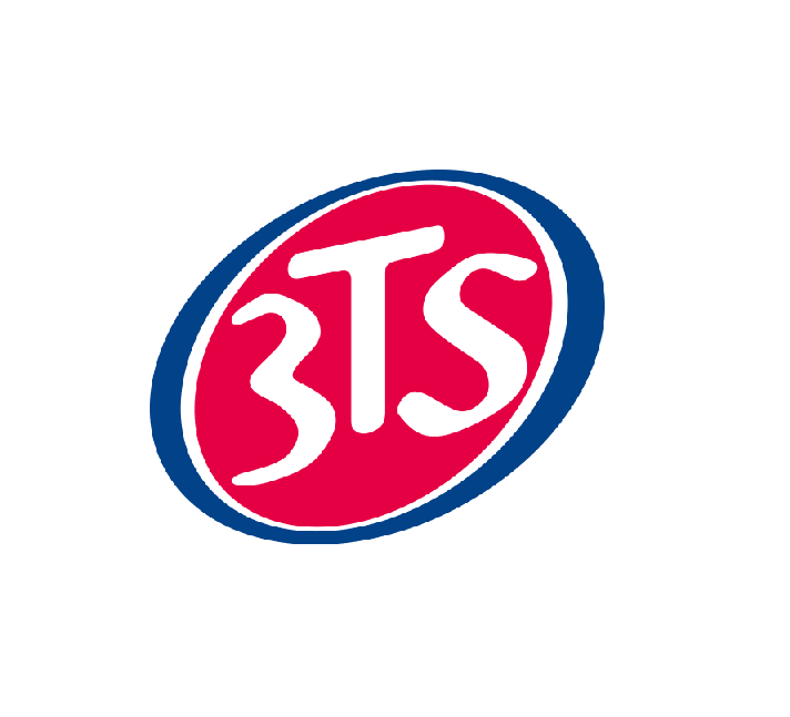 3TS logo