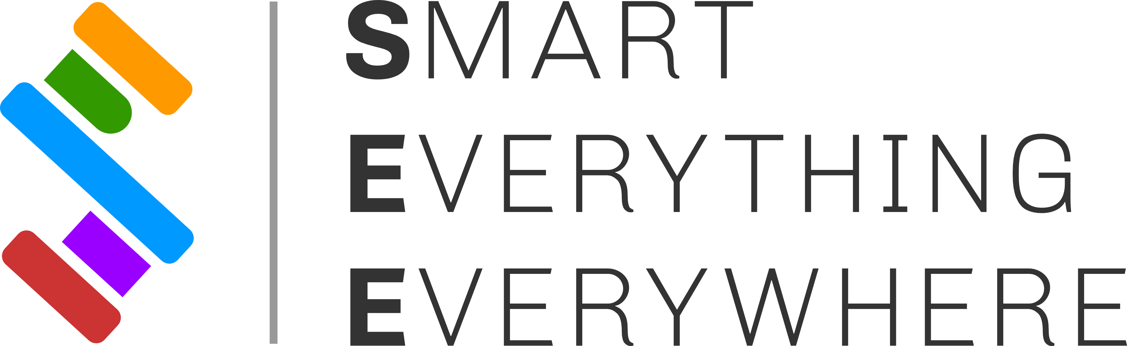 Smart Everything Everywhere logo