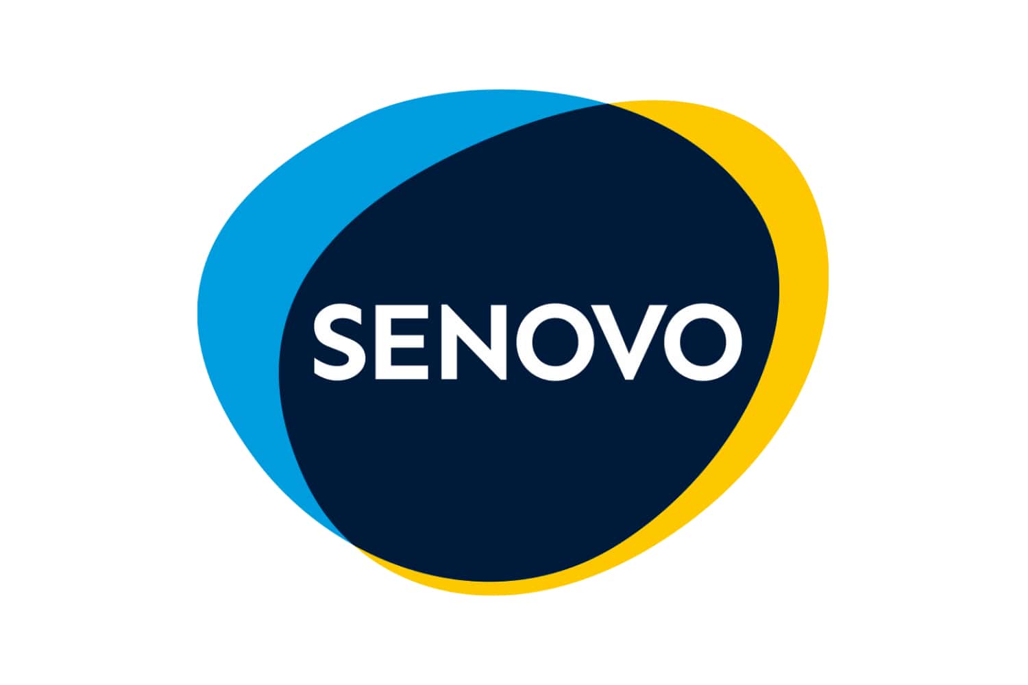 Senovo logo